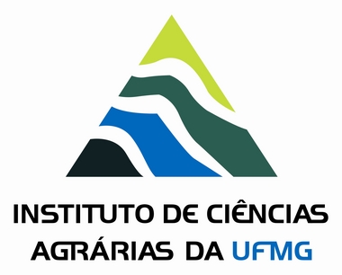 ICA novo 10.JPG